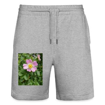 sweet briar also eglantine rose Weinrose - Stanley/Stella Trainer Unisex Organic Jogging Shorts - heather grey - Front - Nik (191cm) & Marisol (170cm)