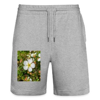 Felsenfingerkraut Felsen-Fingerkraut Potentilla - Stanley/Stella Unisex Bio Joggingshorts Trainer  - Grau meliert - Vorne - Nik (191cm) & Marisol (170cm)