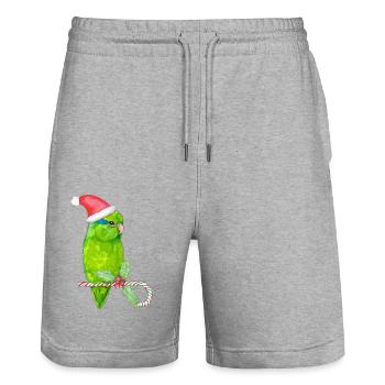 Christmas green forpus - Stanley/Stella Trainer Unisex Organic Jogging Shorts - heather grey - Front - Nik (191cm) & Marisol (170cm)