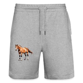Horse Stickers - Equestrian Design - Stanley/Stella Trainer Unisex Organic Jogging Shorts - heather grey - Front - Nik (191cm) & Marisol (170cm)