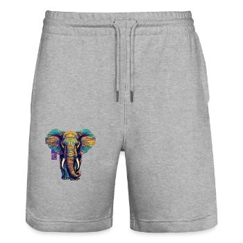 elefant color vector - Stanley/Stella Unisex Bio Joggingshorts Trainer  - Grau meliert - Vorne - Nik (191cm) & Marisol (170cm)