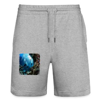 Mit Tauchen die Unterwasserwelt erkunden - Stanley/Stella Unisex Bio Joggingshorts Trainer  - Grau meliert - Vorne - Nik (191cm) & Marisol (170cm)