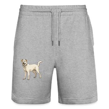 Kangal Hund - Stanley/Stella Unisex Bio Joggingshorts Trainer  - Grau meliert - Vorne - Nik (191cm) & Marisol (170cm)