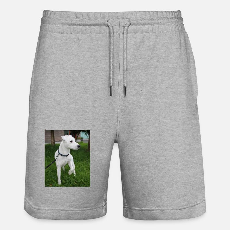 image00004 - Short de jogging bio TRAINER Stanley/Stella unisexe - gris chiné