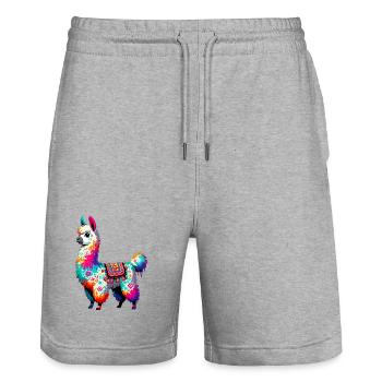 Alpaka - Stanley/Stella Unisex Bio Joggingshorts Trainer  - Grau meliert - Vorne - Nik (191cm) & Marisol (170cm)