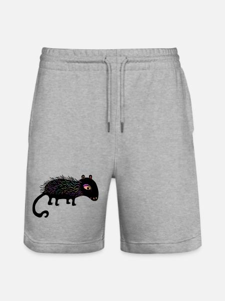 Rainbow Lint Toy - Stanley/Stella Trainer Unisex Organic Jogging Shorts - heather grey