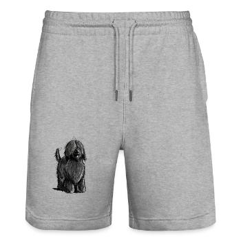 Knuffiger Briard - Berger de Brie - Briarden - Stanley/Stella Unisex Bio Joggingshorts Trainer  - Grau meliert - Vorne - Nik (191cm) & Marisol (170cm)