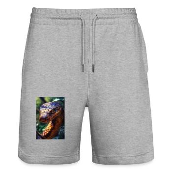 Illustration einer Schlange - Stanley/Stella Unisex Bio Joggingshorts Trainer  - Grau meliert - Vorne - Nik (191cm) & Marisol (170cm)