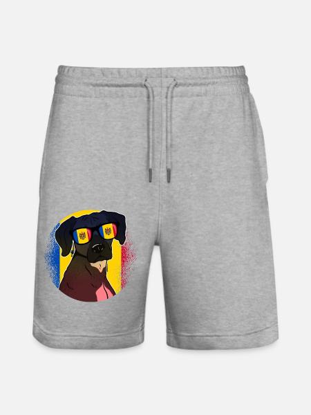Moldova - Stanley/Stella Trainer Unisex Organic Jogging Shorts - heather grey