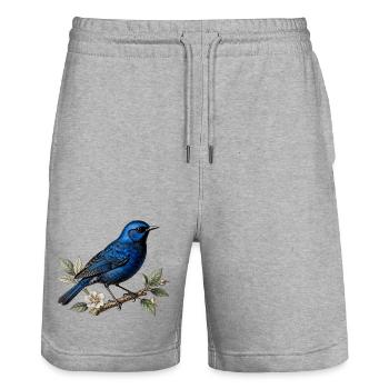Oiseau bleu Mérion splendide (Malurus splendens) - Short de jogging bio TRAINER Stanley/Stella unisexe - gris chiné - Devant - Nik (191cm) & Marisol (170cm)