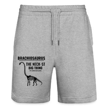 Brachiosaurus Dinosaurier Dino Fossilienjagd - Stanley/Stella Unisex Bio Joggingshorts Trainer  - Grau meliert - Vorne - Nik (191cm) & Marisol (170cm)
