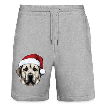 Portrait de Noël tête de chien Kangal - Short de jogging bio TRAINER Stanley/Stella unisexe - gris chiné - Devant - Nik (191cm) & Marisol (170cm)