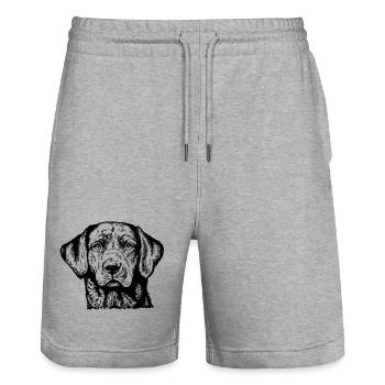 Labrador Retriever Portrait - Stanley/Stella Unisex Bio Joggingshorts Trainer  - Grau meliert - Vorne - Nik (191cm) & Marisol (170cm)