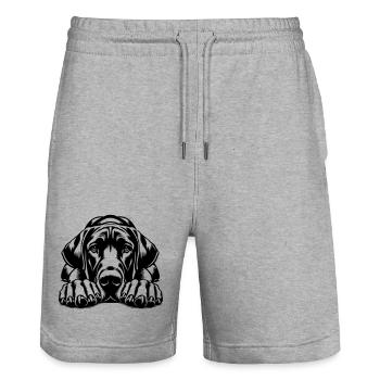 Great Dane - Stanley/Stella Trainer Unisex Organic Jogging Shorts - heather grey - Front - Nik (191cm) & Marisol (170cm)