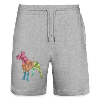GREAT DANE, geometric, colorful - Stanley/Stella Trainer Unisex Organic Jogging Shorts - heather grey - Front - Nik (191cm) & Marisol (170cm)