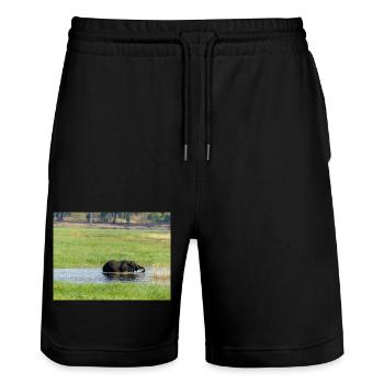 Landscape in Chobe National Park on Sedudu Island - Stanley/Stella Trainer Unisex Organic Jogging Shorts - black - Front - Nik (191cm) & Marisol (170cm)