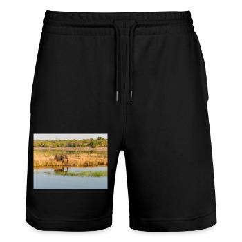 Landscape in Chobe National Park on Sedudu Island - Stanley/Stella Trainer Unisex Organic Jogging Shorts - black - Front - Nik (191cm) & Marisol (170cm)