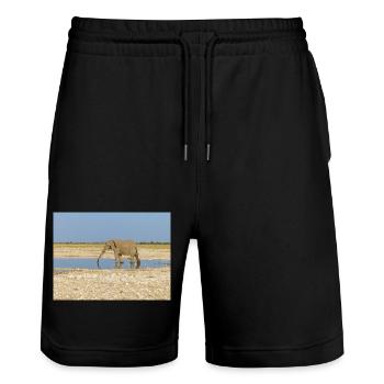 elephant and Landscape in a Etosha National Park - Stanley/Stella Trainer Unisex Organic Jogging Shorts - black - Front - Nik (191cm) & Marisol (170cm)