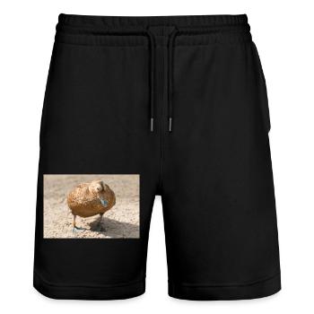 Eider Duck (Eiderente, Somateria mollissima) - Stanley/Stella Unisex Bio Joggingshorts Trainer  - Schwarz - Vorne - Nik (191cm) & Marisol (170cm)