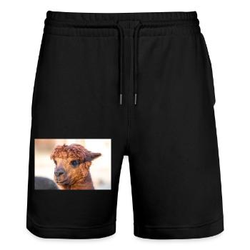 Alpaca (in german Alpaka) Vicugna pacos - Stanley/Stella Trainer Unisex Organic Jogging Shorts - black - Front - Nik (191cm) & Marisol (170cm)