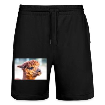 Alpaca (in german Alpaka) Vicugna pacos - Stanley/Stella Trainer Unisex Organic Jogging Shorts - black - Front - Nik (191cm) & Marisol (170cm)