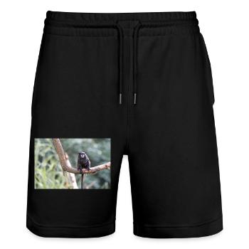 Tamarin à manteau noir Schwarzrückentamarin - Short de jogging bio TRAINER Stanley/Stella unisexe - noir - Devant - Nik (191cm) & Marisol (170cm)