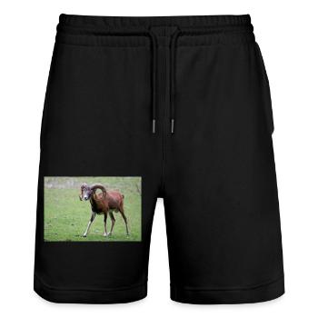 Mouflon européen Europäischer Mufflon - Short de jogging bio TRAINER Stanley/Stella unisexe - noir - Devant - Nik (191cm) & Marisol (170cm)