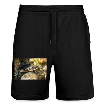 Gelbbauch-Slider Trachemys scripta scripta - Stanley/Stella Unisex Bio Joggingshorts Trainer  - Schwarz - Vorne - Nik (191cm) & Marisol (170cm)