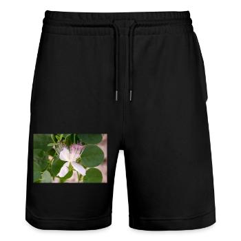 caper bush also Flinders rose Capparis spinosa - Stanley/Stella Trainer Unisex Organic Jogging Shorts - black - Front - Nik (191cm) & Marisol (170cm)