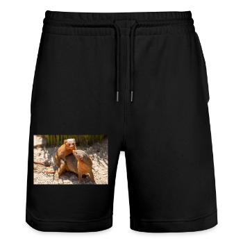 dwarf mongoose (in german Zwergmangusten) Helogale - Stanley/Stella Trainer Unisex Organic Jogging Shorts - black - Front - Nik (191cm) & Marisol (170cm)