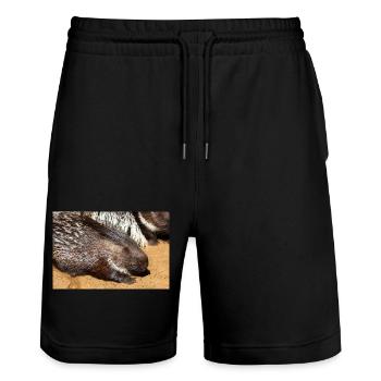 Porcupine als Porky Stachelschwein Hystricidae - Stanley/Stella Unisex Bio Joggingshorts Trainer  - Schwarz - Vorne - Nik (191cm) & Marisol (170cm)