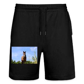 Pferd - Stanley/Stella Unisex Bio Joggingshorts Trainer  - Schwarz - Vorne - Nik (191cm) & Marisol (170cm)