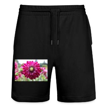Dahlie rot violett Blüte ,Blume - Stanley/Stella Unisex Bio Joggingshorts Trainer  - Schwarz - Vorne - Nik (191cm) & Marisol (170cm)