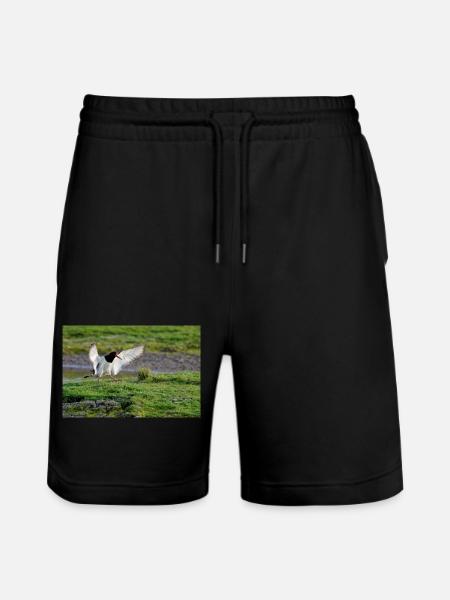 Oyster Catcher - Stanley/Stella Trainer Unisex Organic Jogging Shorts - black