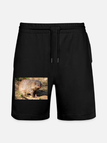 Gebänderte Manguste oder Zebramanguste Zebramanguste - Stanley/Stella Unisex Bio Joggingshorts Trainer  - Schwarz