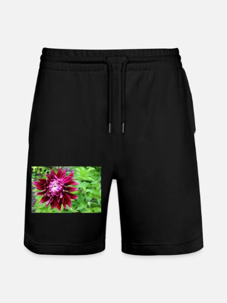 Dahlia, Flower, Blossom Red - Stanley/Stella Trainer Unisex Organic Jogging Shorts - black