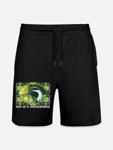 Kaléidoscope - Short de jogging bio TRAINER Stanley/Stella unisexe - noir