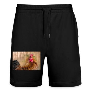 Hahn im Morgenlicht - Nahaufnahme, Poster - Stanley/Stella Unisex Bio Joggingshorts Trainer  - Schwarz - Vorne - Nik (191cm) & Marisol (170cm)