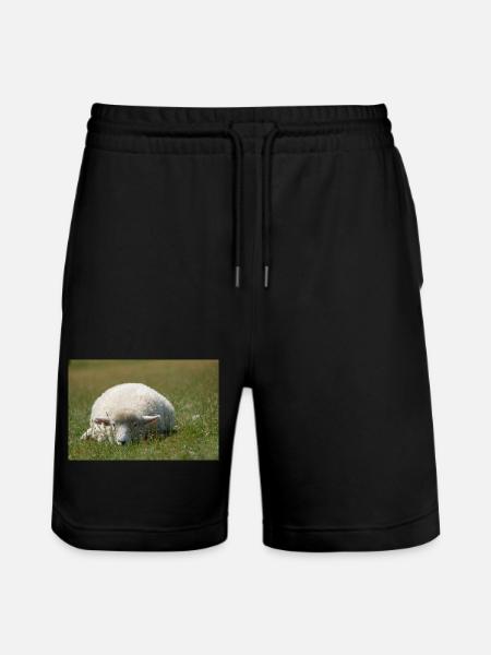 Moutons reposant dans l’herbe - Short de jogging bio TRAINER Stanley/Stella unisexe - noir