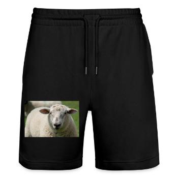 Close-up of a sheep - Stanley/Stella Trainer Unisex Organic Jogging Shorts - black - Front - Nik (191cm) & Marisol (170cm)