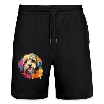 Chien Bichon Havanais - Short de jogging bio TRAINER Stanley/Stella unisexe - noir - Devant - Nik (191cm) & Marisol (170cm)
