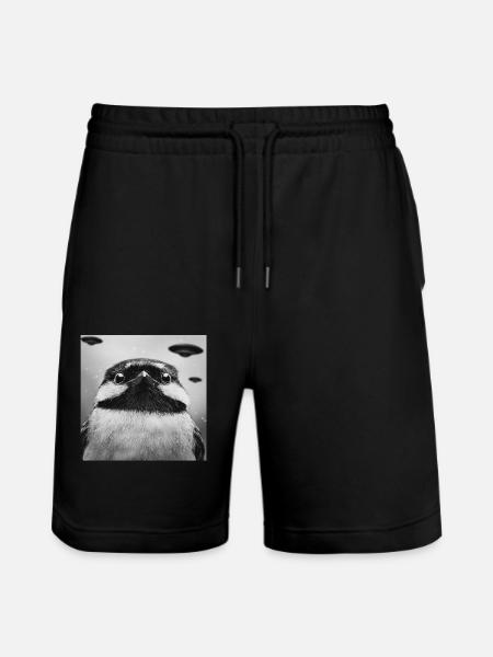 Meise - Stanley/Stella Unisex Bio Joggingshorts Trainer - Schwarz