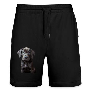 Deutsche Dogge - Stanley/Stella Unisex Bio Joggingshorts Trainer  - Schwarz - Vorne - Nik (191cm) & Marisol (170cm)