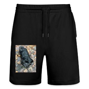 Havaneser forever - Stanley/Stella Unisex Bio Joggingshorts Trainer  - Schwarz - Vorne - Nik (191cm) & Marisol (170cm)