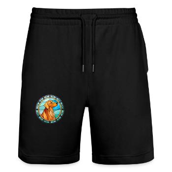Schweizer Laufhund Hunderasse Buntglas Bunt Wa - Stanley/Stella Unisex Bio Joggingshorts Trainer  - Schwarz - Vorne - Nik (191cm) & Marisol (170cm)