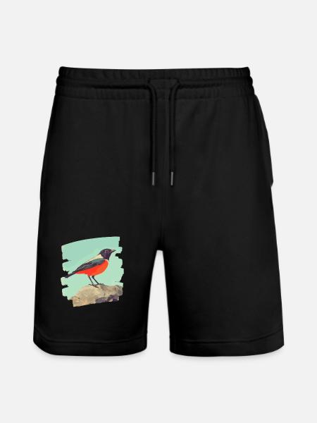 Canari - Short de jogging bio TRAINER Stanley/Stella unisexe - noir