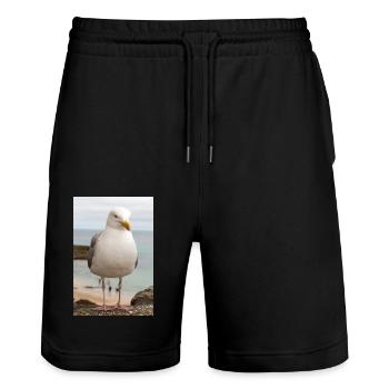 Goéland argenté (Larus argentatus) sur la plage de Goéland - Short de jogging bio TRAINER Stanley/Stella unisexe - noir - Devant - Nik (191cm) & Marisol (170cm)