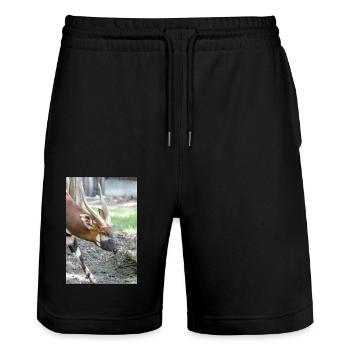 Östlicher Bongo Tragelaphus euryce - Stanley/Stella Unisex Bio Joggingshorts Trainer  - Schwarz - Vorne - Nik (191cm) & Marisol (170cm)