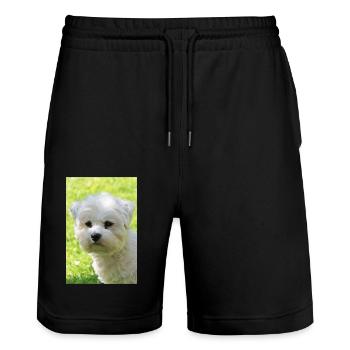 Malteser - Stanley/Stella Unisex Bio Joggingshorts Trainer  - Schwarz - Vorne - Nik (191cm) & Marisol (170cm)