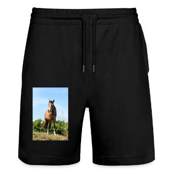 Pferd - Stanley/Stella Unisex Bio Joggingshorts Trainer  - Schwarz - Vorne - Nik (191cm) & Marisol (170cm)